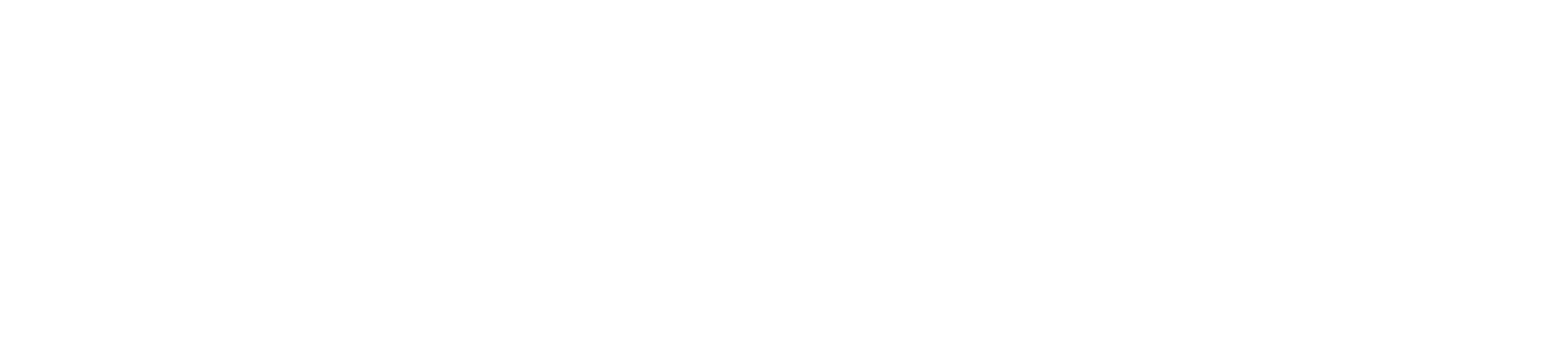 Rally On the Runway